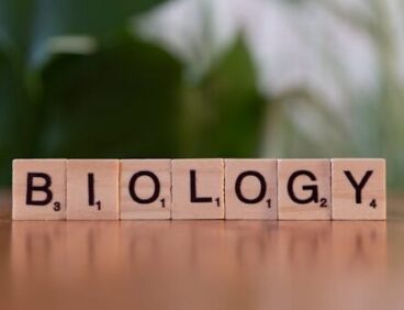 Wooden letter blocks spelling 'Biology' on a table with a green background.